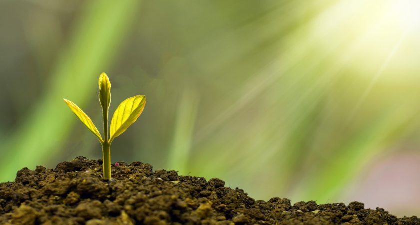 Professional Certificate in Green finance